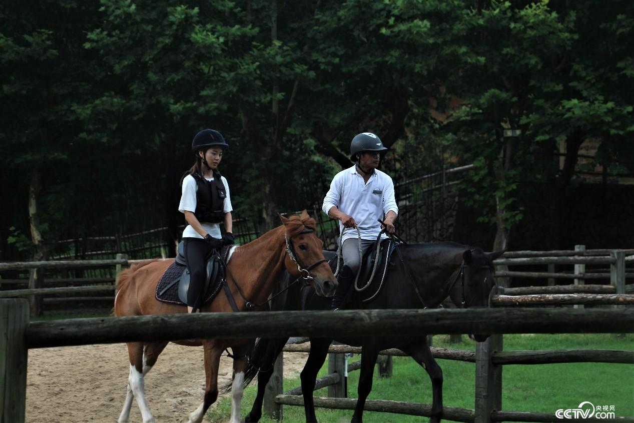 Ī��ɽ�(zh��n)�߶˾�Ʒ���޵ĺ��ą^(q��)������ҕ�W(w��ng) ӛ�ߺδ��z��