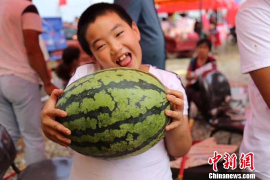 ζ������������������ҫ�� �z