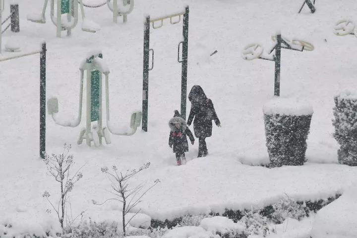 ���ӭ�붬��(l��i)��͜أ��@Щ�ط��K��ӭ��(l��i)��ѩ����