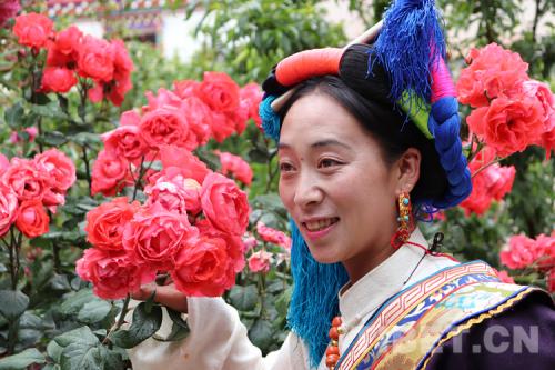 �D�鴩���{�����Ĺ���׿����ķ���zӰ������