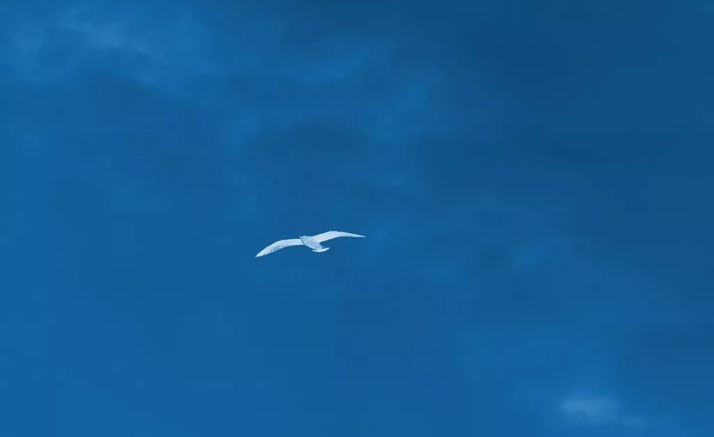 當(dāng)干部就要習(xí)慣“不舒服”