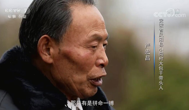 �r(n��ng)��ĸ�