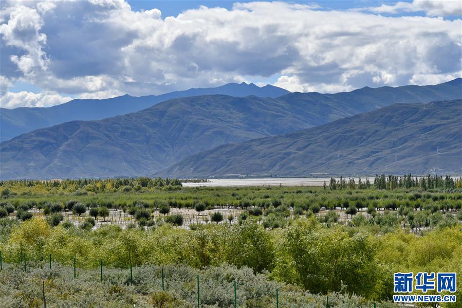 ���D�Ļ���(d��ng)����4��������������������(m��ng)���(m��ng)���ǘ��𡱡�����(xi��)�����ذ��f(w��n)�r(n��ng)ū���61����֮�H