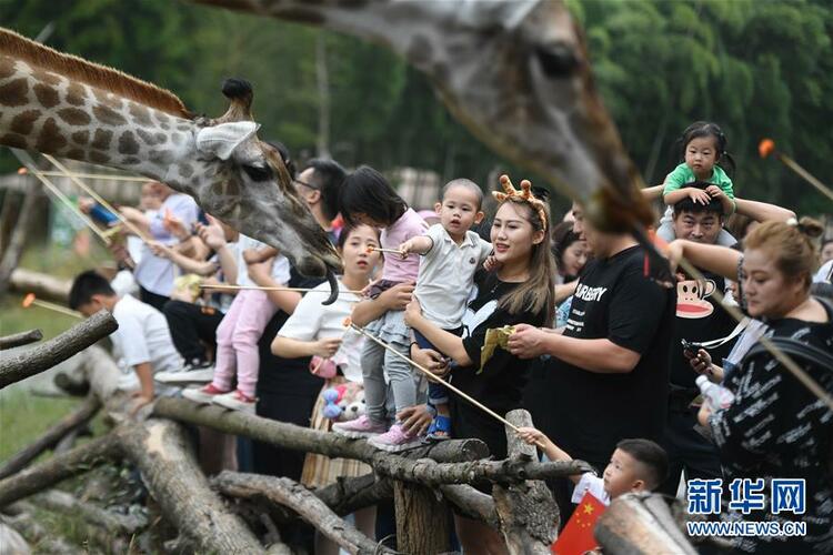 ���G������Ŀ��Ȼ�������������á�����(w��n)�������䌍(sh��)���������΄�(w��)���^��