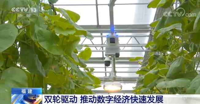 福建在數字產業(yè)化和產業(yè)數字化兩方面“雙輪驅動” 推動數字經濟快速發(fā)展