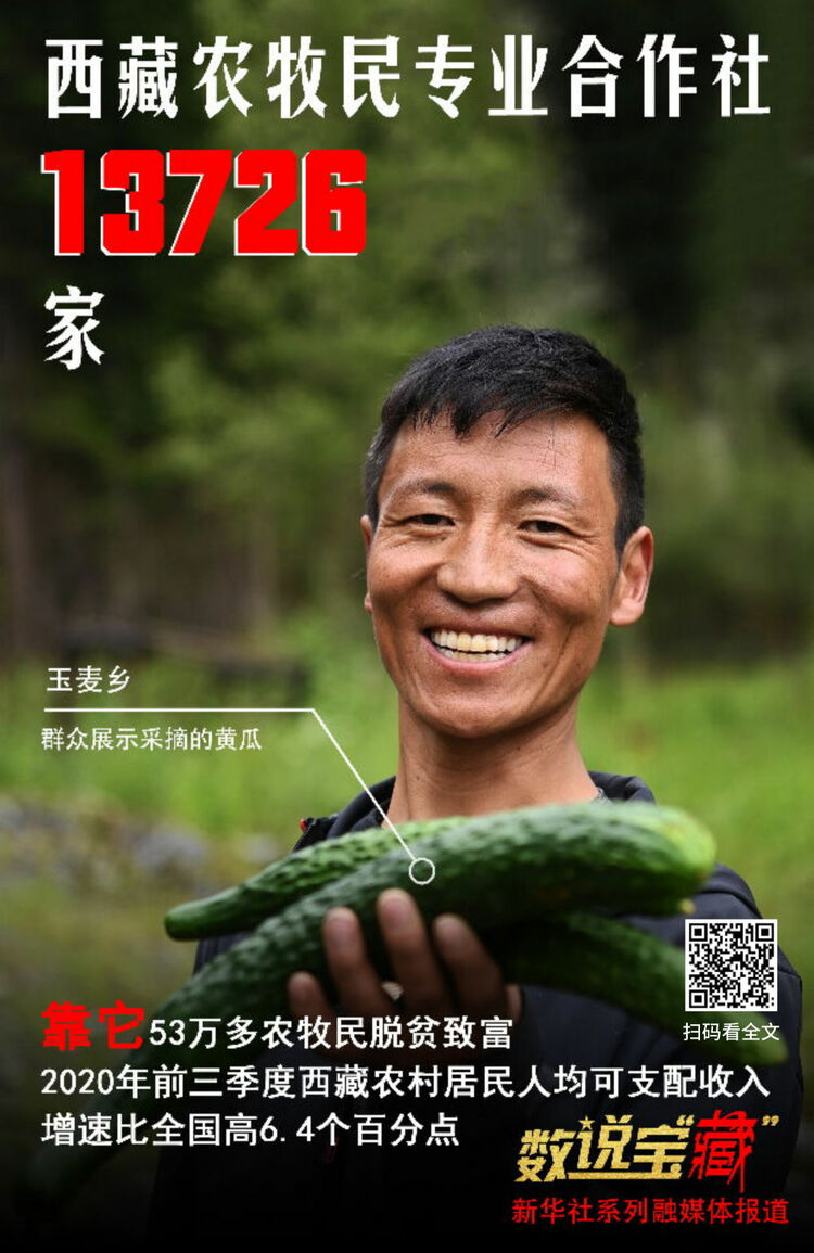 ���@�M��(sh��)�f�����ء������������ؽ����Ҹ�����