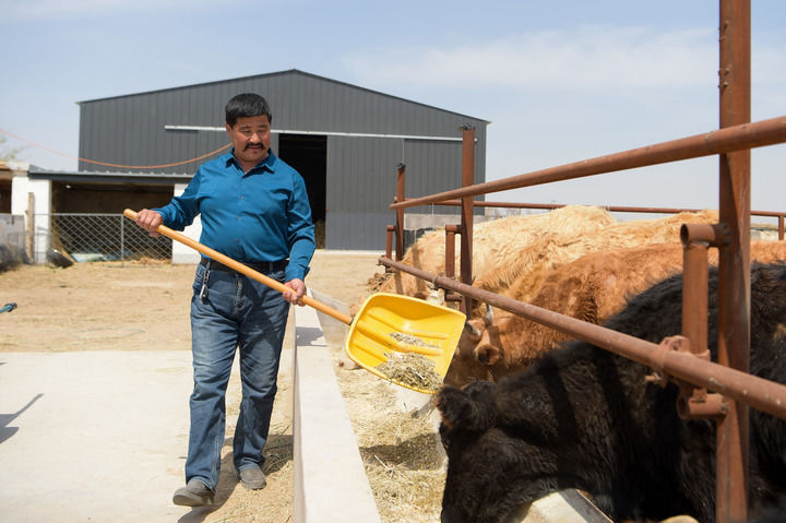 ���Aȫý+���������ٿ��Ї�(gu��)����ɳ��·���~�� ���մ�Įͨ�ĺ�