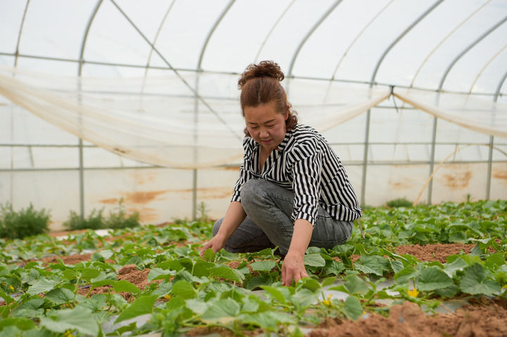 ���Aȫý+���������ٿ��Ї�(gu��)����ɳ��·���~�� ���մ�Įͨ�ĺ�