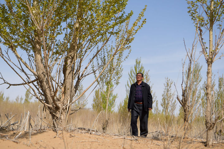 ���Aȫý+���������ٿ��Ї�(gu��)����ɳ��·���~�� ���մ�Įͨ�ĺ�