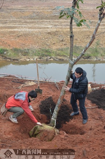 �V���ɲ�Ⱥ��ֲ�九(ji��)�R�R�N��