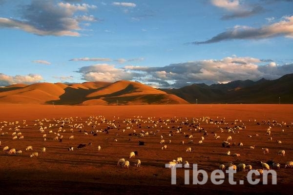 ��ԭ����