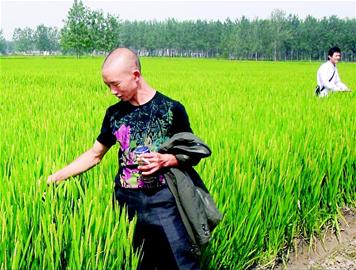 ����ɶ������r(n��ng)�I(y��)�I(y��)��(j��ng)����֮һ���N��������־ȫ�F(xi��n)�ڹ������������1800�����