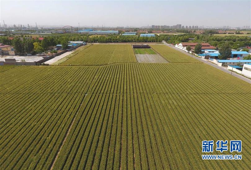 ����(j��ng)��(j��)����1��ɽ�|С����������e����