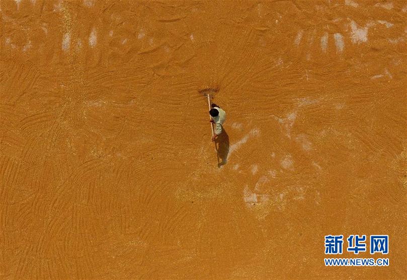 #(視·覺)曬豐收