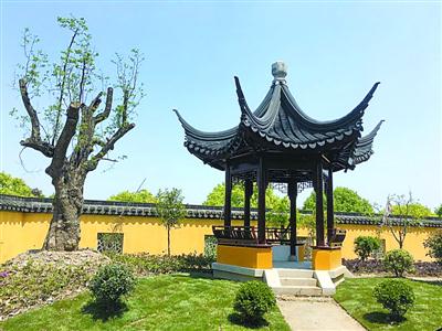 �Ϻ��н����ء���6000�������ŗ���