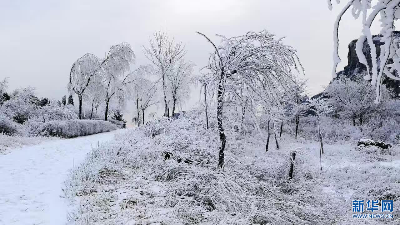 ����������ç�X����䭂�����y�b�ع�