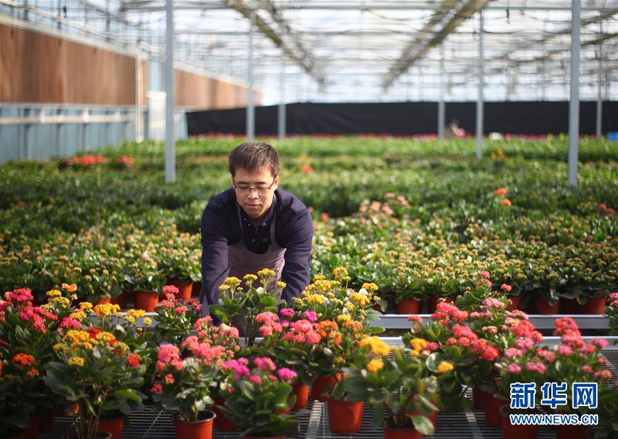 #����(j��ng)��(j��)����1������h�У��ϻ����N �l(xi��ng)���D(zhu��n)���_�����¸�����