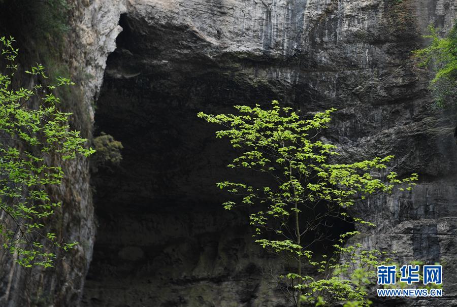 �������Ї�(gu��)����1���߽�����(qi��ng)�ض������