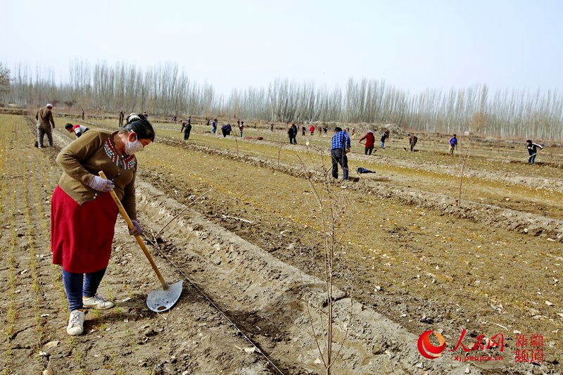 ��܇�а��������(zh��n)�̿���˹̹����������g���^���������������၆�Ρ������ �z